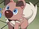 rockruff1