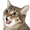 Happy Cat happy_cat Discord Emoji