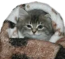 SCsleepybb1