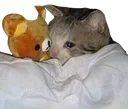 :SCsleepybb3: