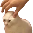 SCpinch