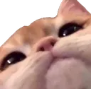 SCclose