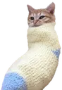 SCsock2