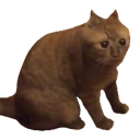 SCCRINGE