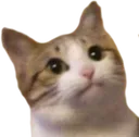 bonjour bonjour