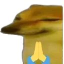 dorime