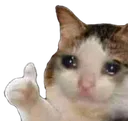 sadcatthumbsup