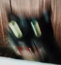 speed