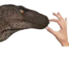 TI_Shut TI_Shut