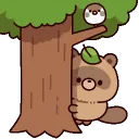 tanukipeek