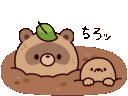 :tanukipopup: Discord Emote