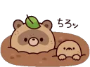 tanukipopup