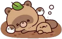 tanukisleep tanukisleep