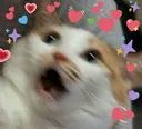 SCREAMcatlove