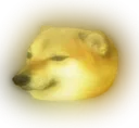 C1_cheemsGLOW