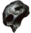 dondiDeath