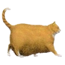 chonk Discord emoji