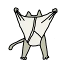 catcalzon