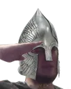 salute