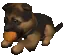 shepherdball
