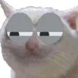 Sus