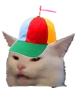 ConfusedCam