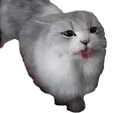 SClick