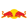 TeamRedBullRacing