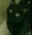 nigelscreamingsoloud