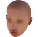 ape