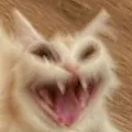 catreee