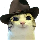 meowdy