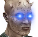 baowoke baowoke