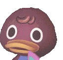 chocochoc2