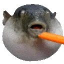 bigpuff2
