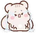SquirrelCry