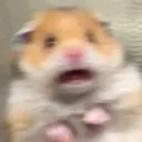 Scaredhamster scaredhamster Discord Emoji