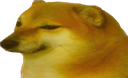 :cheem: Discord Emote