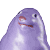 :awkward_seal: Discord Emote