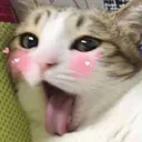 lewdHGGGHH