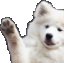 :doggopaw: