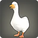 uglyduckling uglyduckling