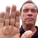 :ArnoldHalt: Discord Emote