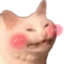 catHeh Discord Emoji