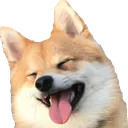 DogHappy
