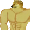C1_cheemsBUFFED