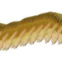 C1_cheemsLONG2