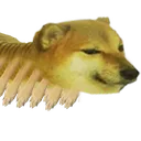 C1_cheemsLONG1 C1_cheemsLONG1