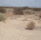 666060016519741452.gif?v=1