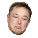 elonmusknotbad_2